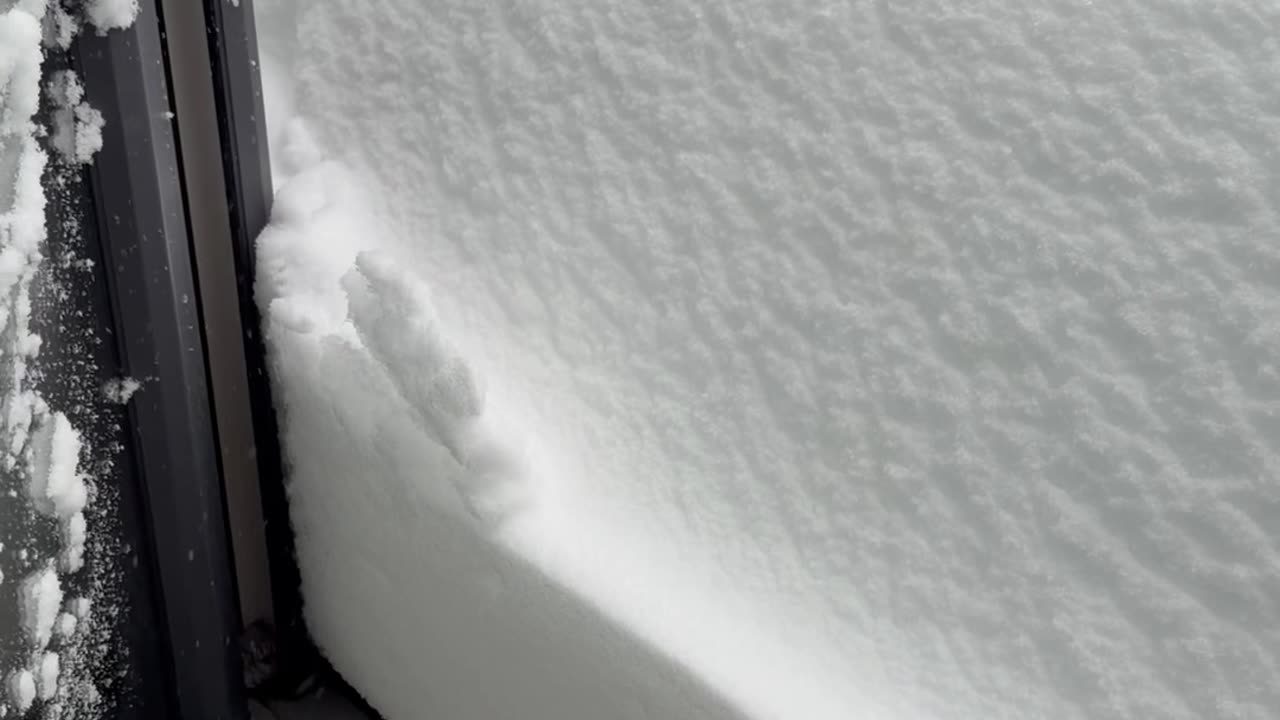 Snow Storm Hit Hamburg Germany