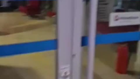 A cat is in custody after breaking into a bank in Turkey