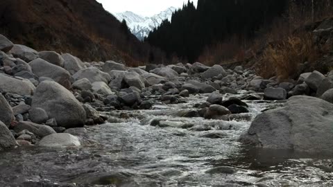 Tranquil River Moments: A Journey to Relaxation