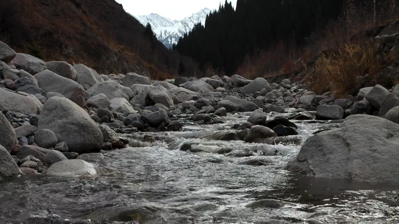Tranquil River Moments: A Journey to Relaxation
