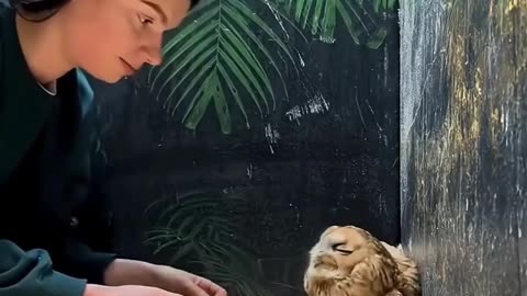 This family rescued a small owl that was stuck in a wire fence ❤️