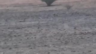 Cool Footage of Houthi Snipers Training