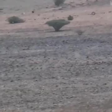 Cool Footage of Houthi Snipers Training