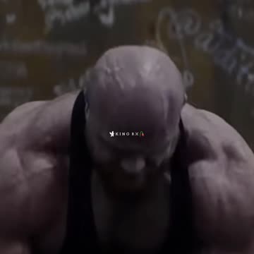 Be a Lion 🦁| Know the Rules of the Jungle – Coach Pain Motivation