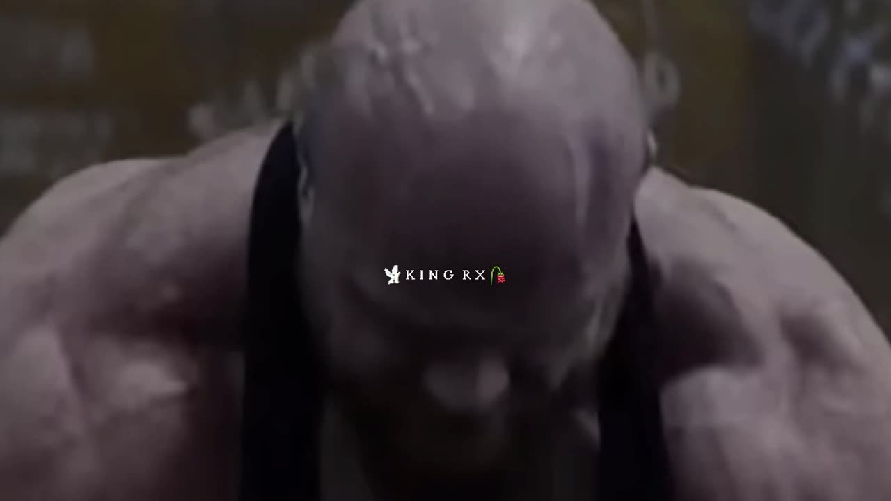 Be a Lion 🦁| Know the Rules of the Jungle – Coach Pain Motivation