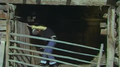 Atını Seven Kovboy