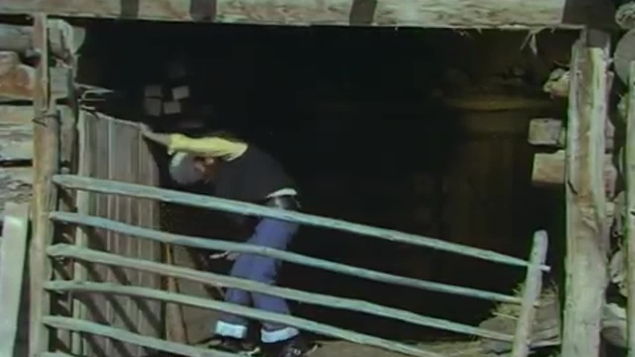 Atını Seven Kovboy