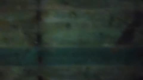 ⚠️🚂 Chilling Holocaust Train Car Footage – Dust or Something Else? | TheHauntingHour