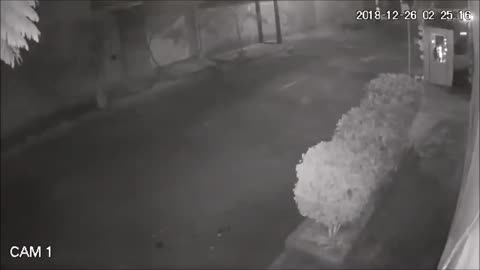 Alien being that landed in Mexico and was captured by several security cameras