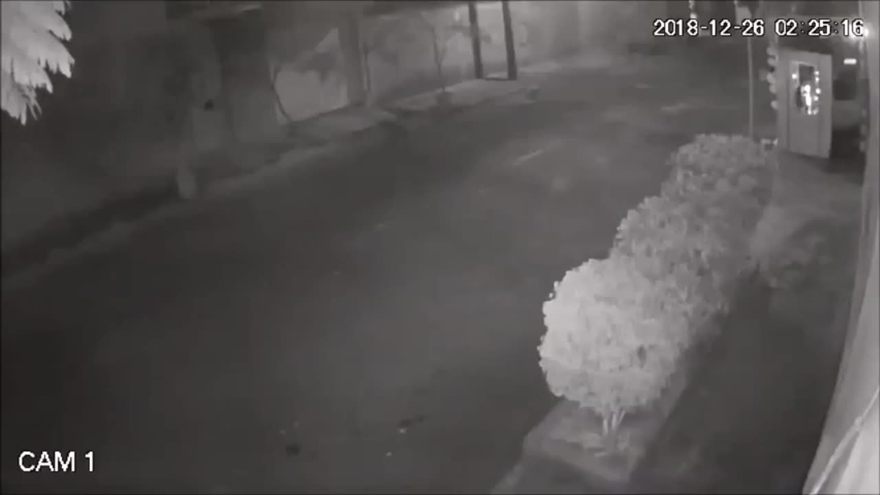 Alien being that landed in Mexico and was captured by several security cameras