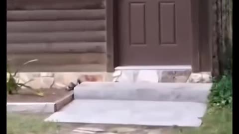 😱👻 You Won't Believe What They Caught on Camera! Scary Comp.16 | TheHauntingHour