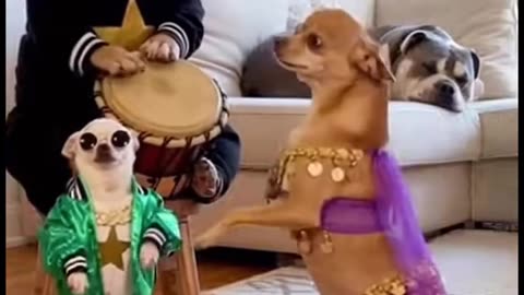 We're putting the band back together