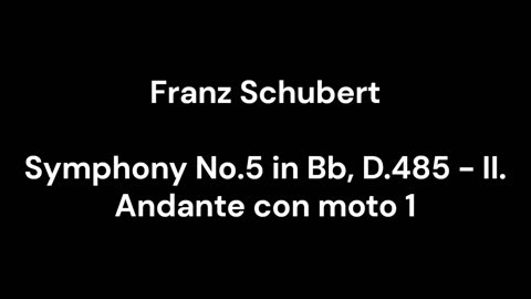 Symphony No.5 in Bb, D.485 - II. Andante con moto 1
