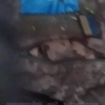 Ukraine war combat footage 10/27/25