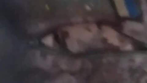 Ukraine war combat footage 10/27/25