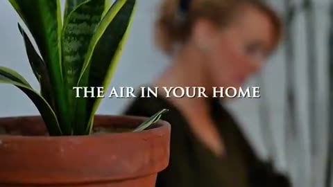 5 Most Useful Plants 🪴