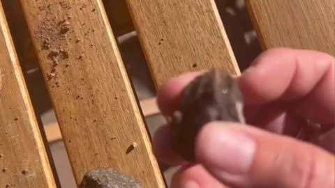 Uranium Ore with Gold