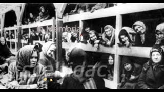 Per ricordare la Shoah