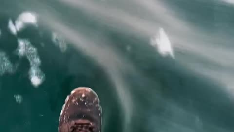 Walking on frozen lake as strong winds blow