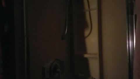 Poor Predvidans as in Fellow Femme was Lonely on Christmas 😂🐓