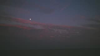 Soft Top Intrepid - Pause(2025)