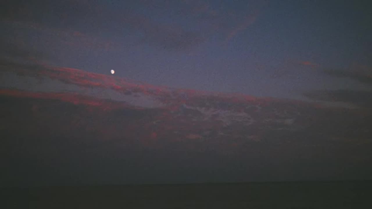 Soft Top Intrepid - Pause(2025)