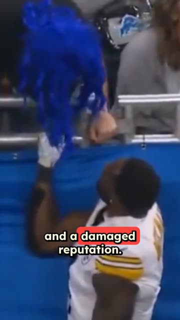 Lions Fan Sues Over Metcalf Clash