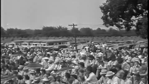 [DYNAMIC KERNELS HARVESTING WHEAT] - [DYNAMIC KERNELS HARVESTING WHEAT] - fc-fc-4824