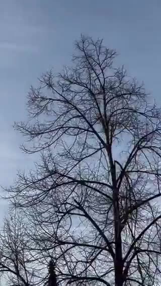 Partout dans le monde, les gens lèvent les yeux et se posent des questions...