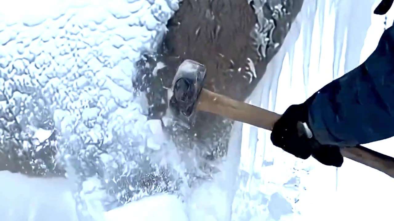 Frozen Solid! Rescuing a Wild Deer Trapped in Ice 🧊🦌