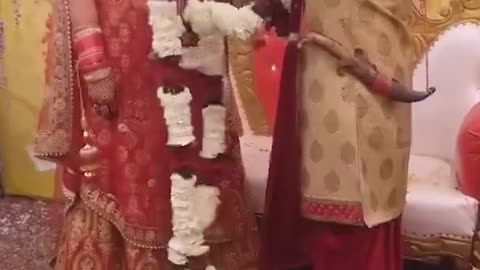 Amazing: Funny Indian marriage fails || Indian wedding funny moment's || shadi d