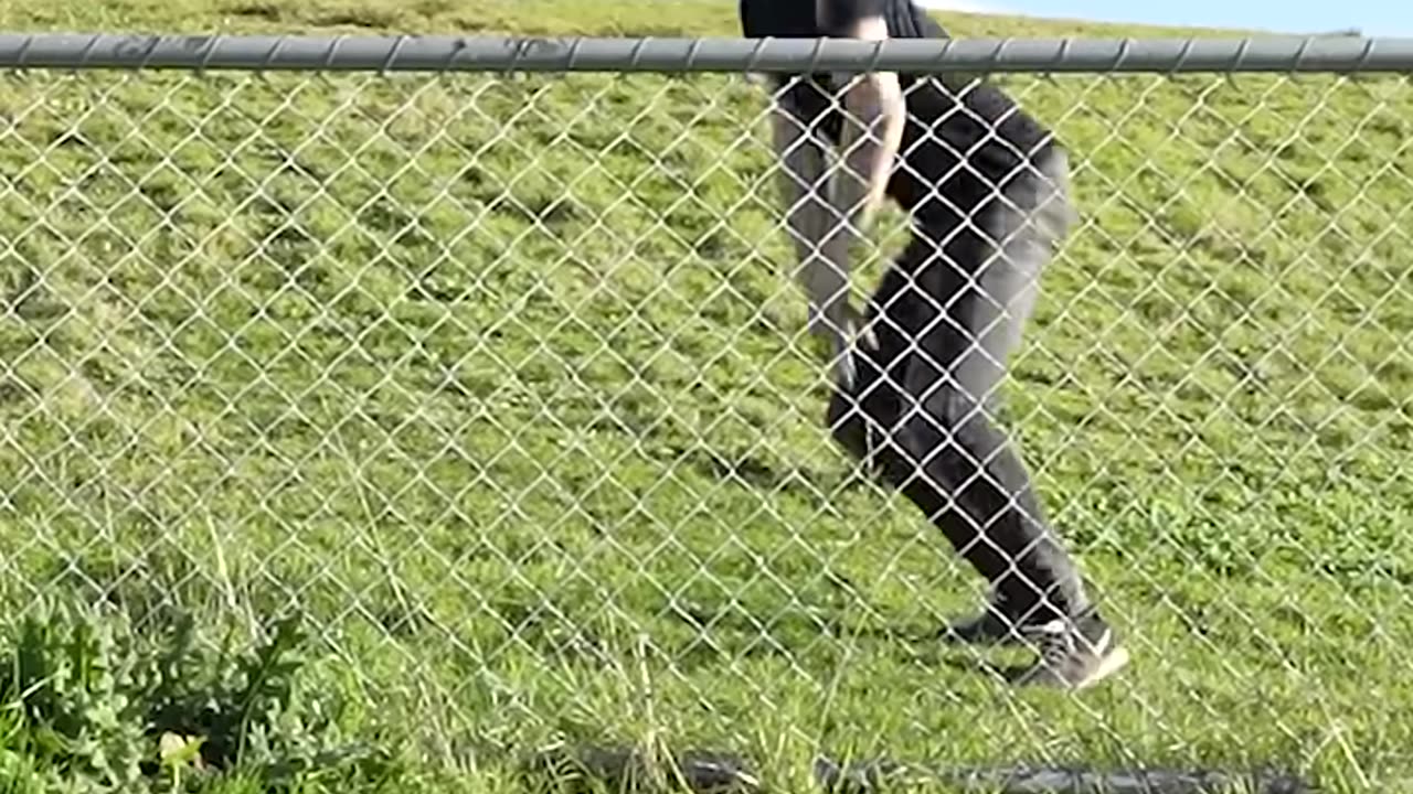 Most Viral Fun Video