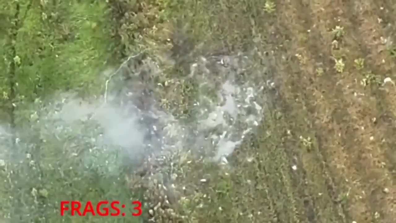 ☠️🐷34471 - 33481 The hilarious slaughter of 11 pigs