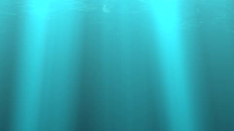 Shoal Lake reserve 40 - New year rally - Jan 3 2026 - Part 2 - Klaus Henrik Saari