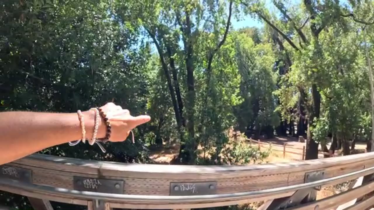 Stolen Lands for foreign revenue