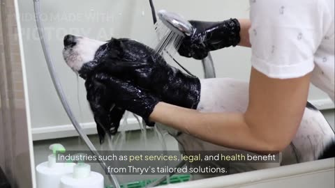 Stop the Chaos: How to Organize All Your Client Info in One Place