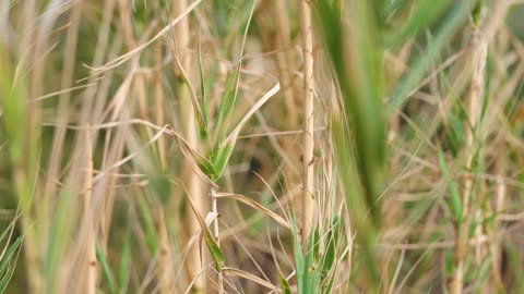 If you Wanna Be A Winner Publically , you Must Learn TO Lose Quietly