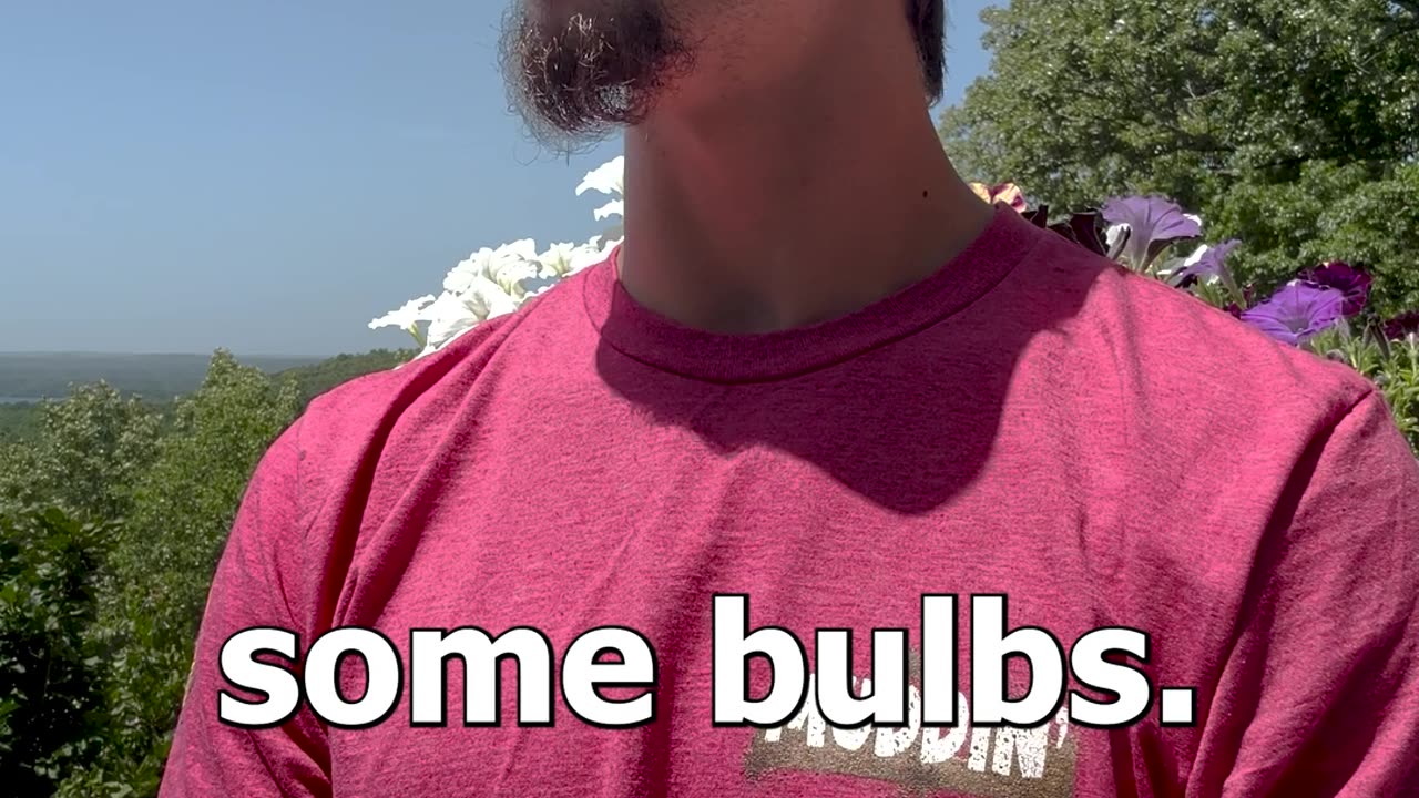 Bulbs