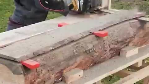 how to cut wood and hedges like a pro...