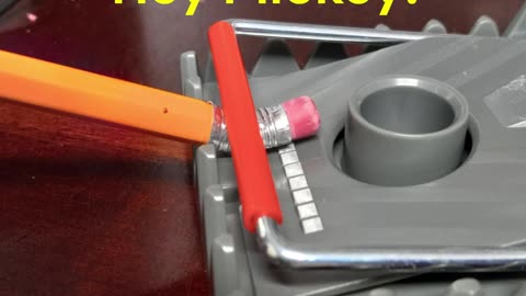 AFTER 3 DAYS OF TRIALS ... FINALLY A TRAP THAT SNAPS!