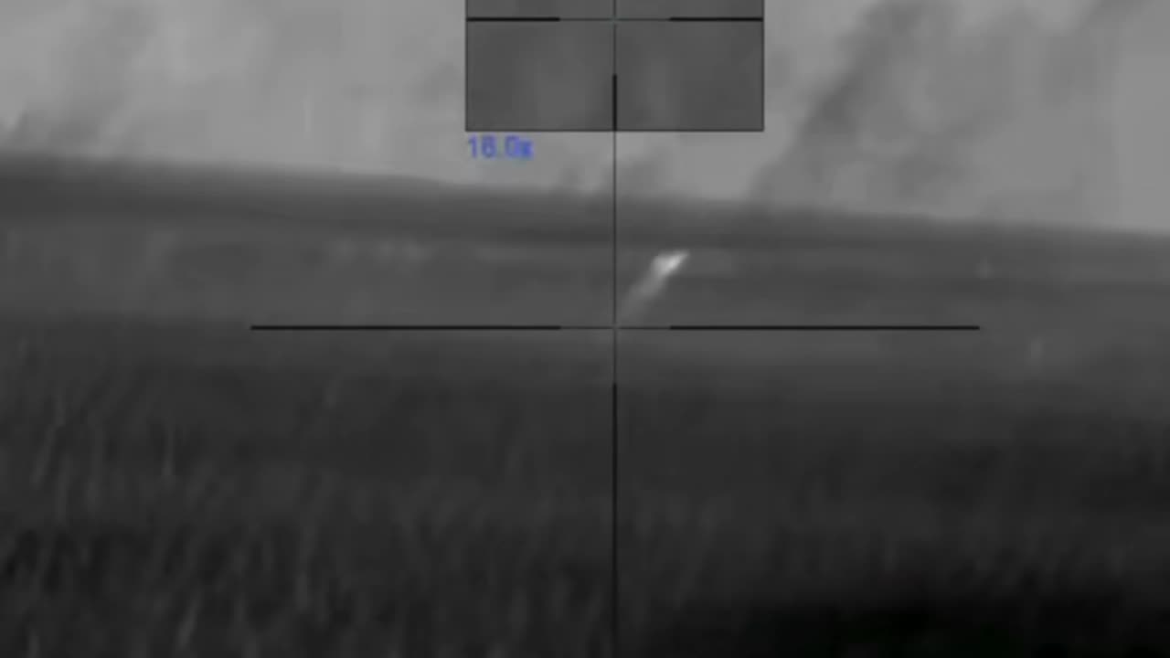 Keep on Rollin Baby! Coyote Style