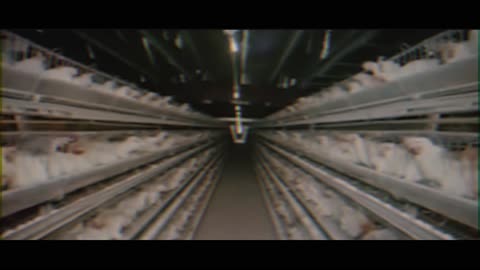 YOUR INLAND EMPIRE - Edge of Perfection (Official Audio)