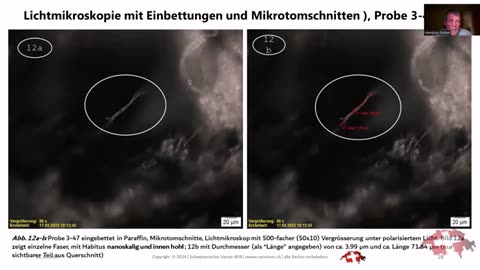 ⚠️ Forschung und Analyse zu den vermeintlichen Spinnfäden, die vom Himmel fallen!