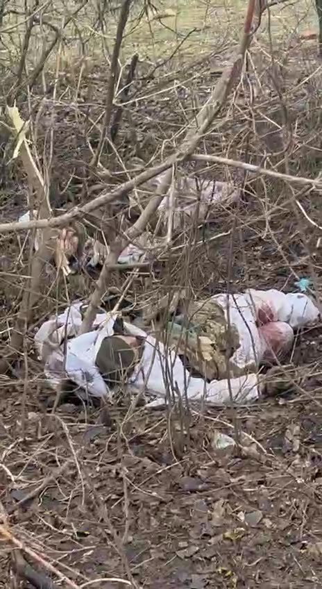 Ukraine war combat footage 10/4/25