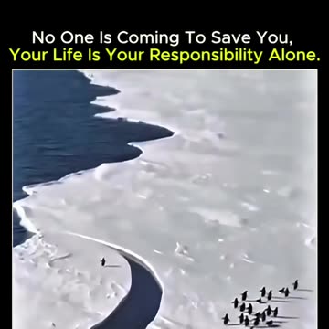 No one is coming to save you, your life is your responsibility alone