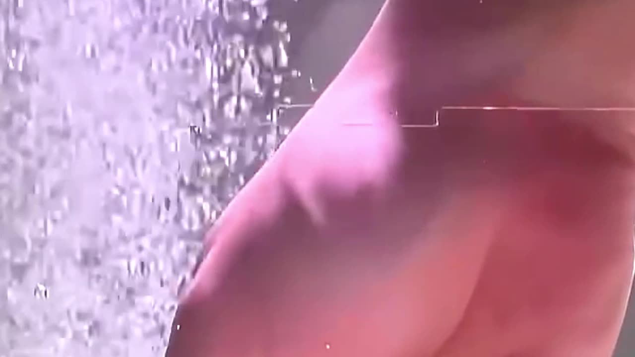 This man discovered a shark egg and something magical happened