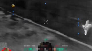 🦉💥 Ukraine Russia War | Ukrainian Owl Targets Russian UAV in Donetsk | RCF