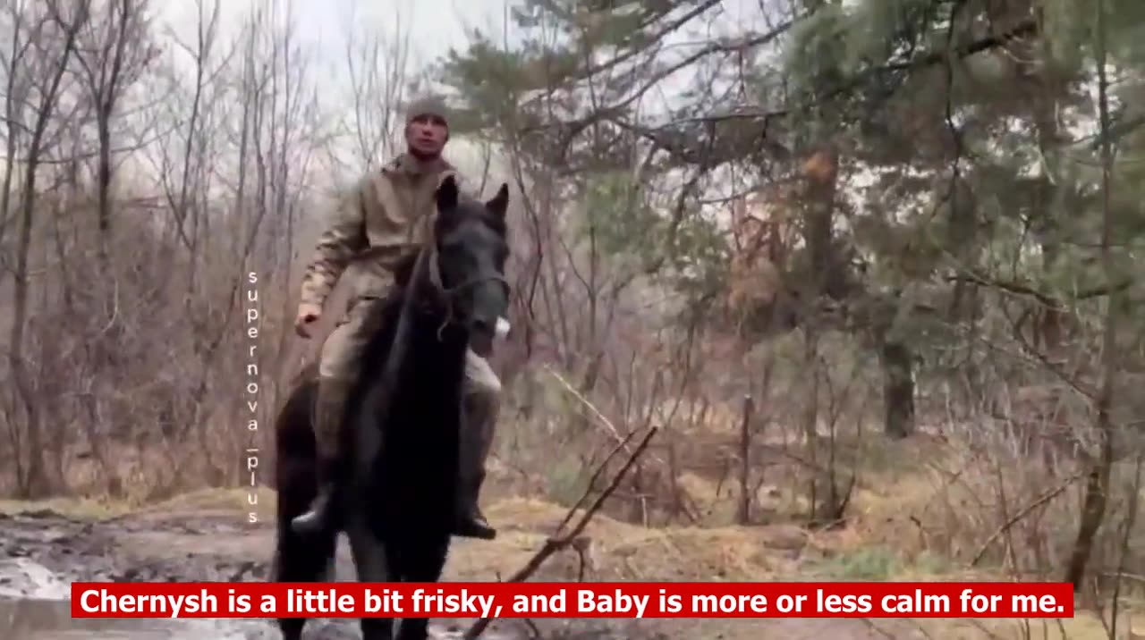 Horses instead of tanks? A symbol of Russian desperation in the age of drones