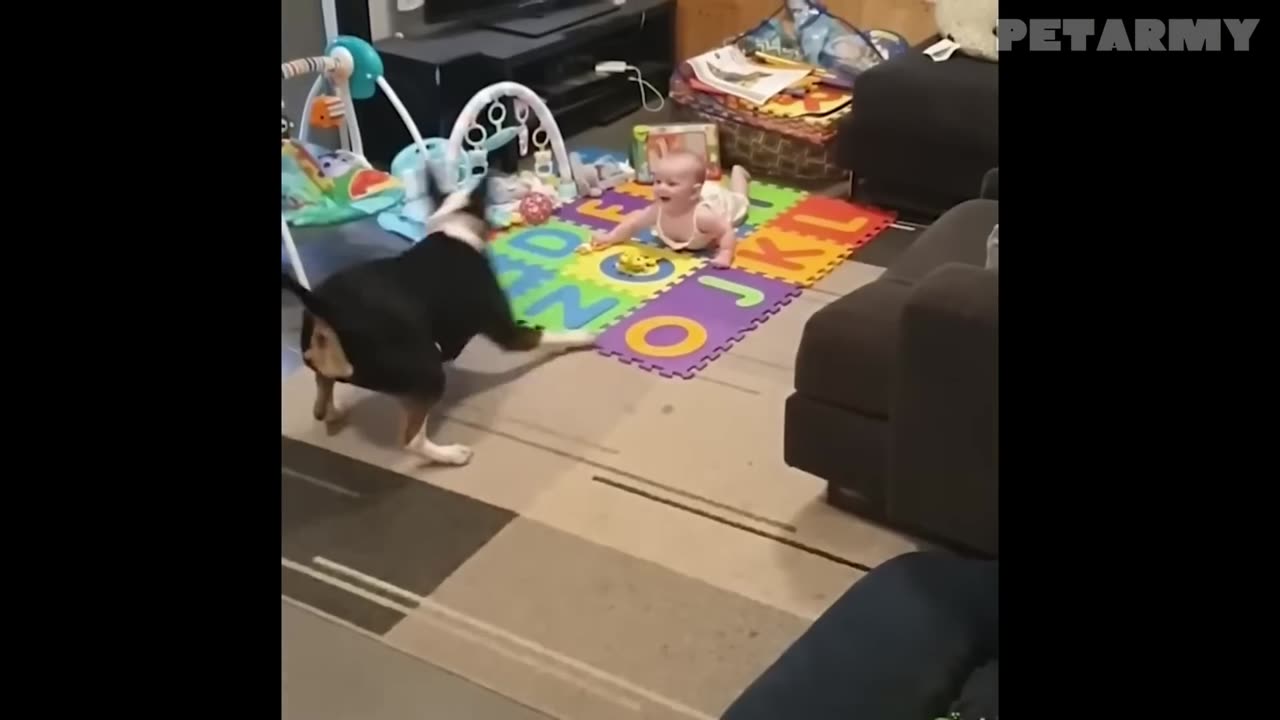 Cutest Baby & Pet Video You Can’t Watch Without Smiling 🐶👧✨