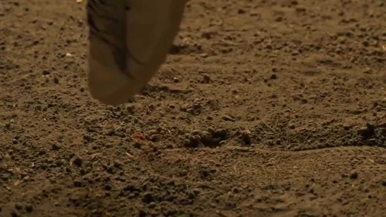 Southmovie